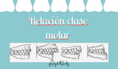 Relacion clase molar