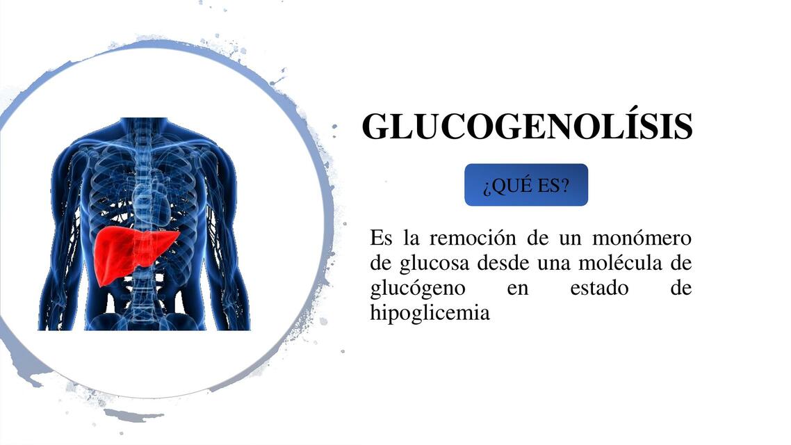 Glucogenolisís