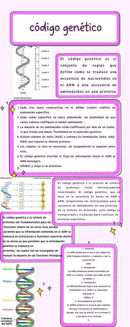 Infografía Código genético | Karelin | uDocz