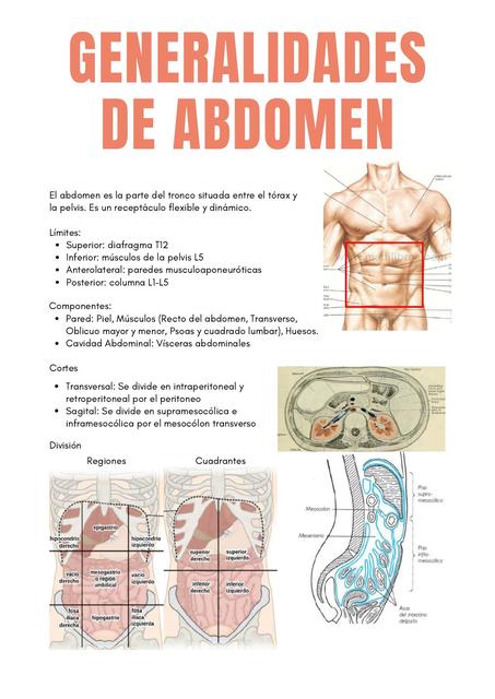 Imagenología Abdomen