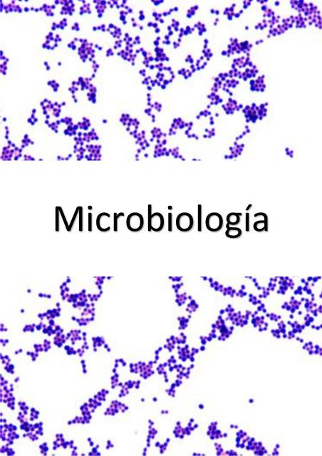 Microbiologia ocular