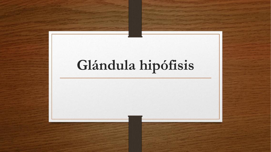 Glándula Hipófisis