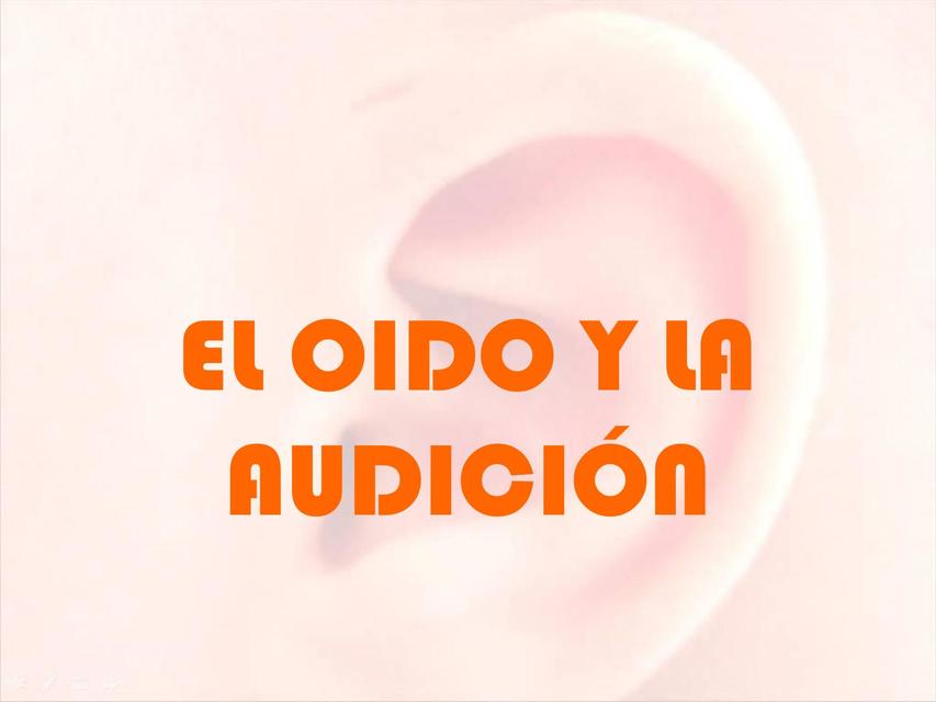 El Oído y la Audición