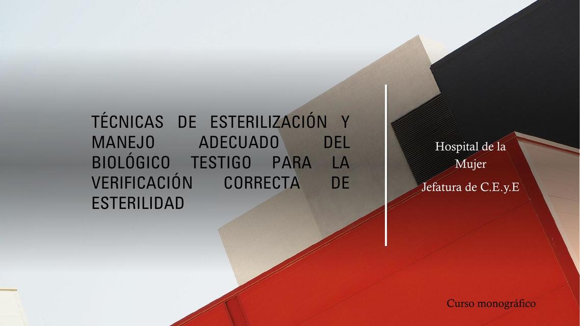 Res menes de ceye descarga apuntes de ceye
