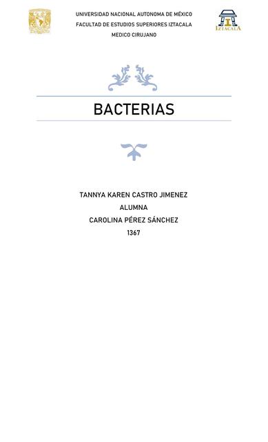 Bacterias