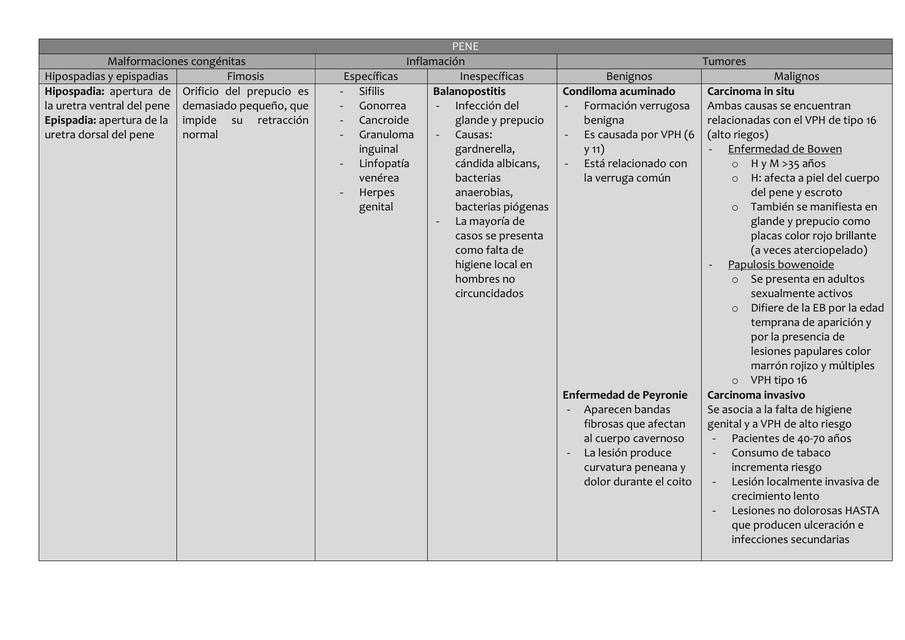 PATOLOGIAS DEL APARATO REPRODUCTOR MASCULINO