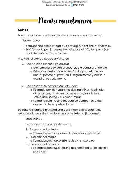 Neuroanatomía