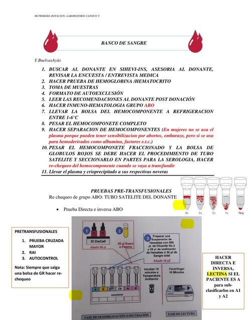 BANCO DE SANGRE GUIA PRACTICA | Yulissa Kamileth Buelvas Ayus | uDocz