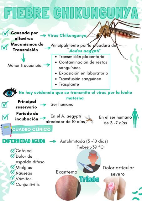 Fiebre Chikunguña 