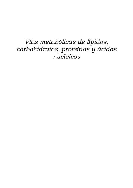 Vías metabólicas de lípidos, carbohidratos, proteínas y ácidos nucleicos 