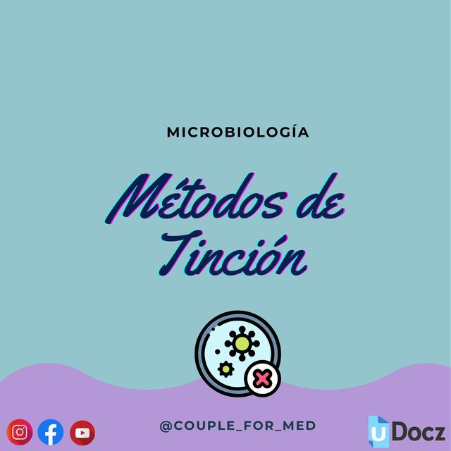 Metodos De Tincion Microbiologia Microbiologia Notas De Medicina Udocz