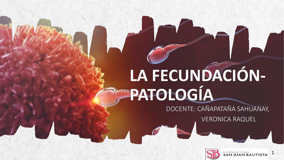 Fecundación Patología