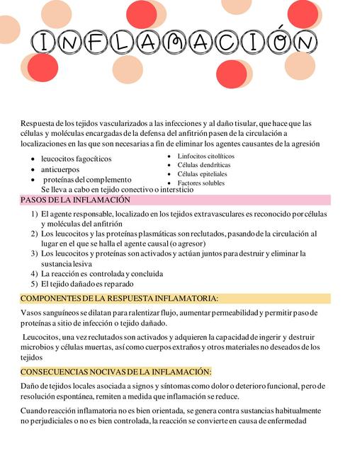 Inflamacion Medicina Anatomia Udocz