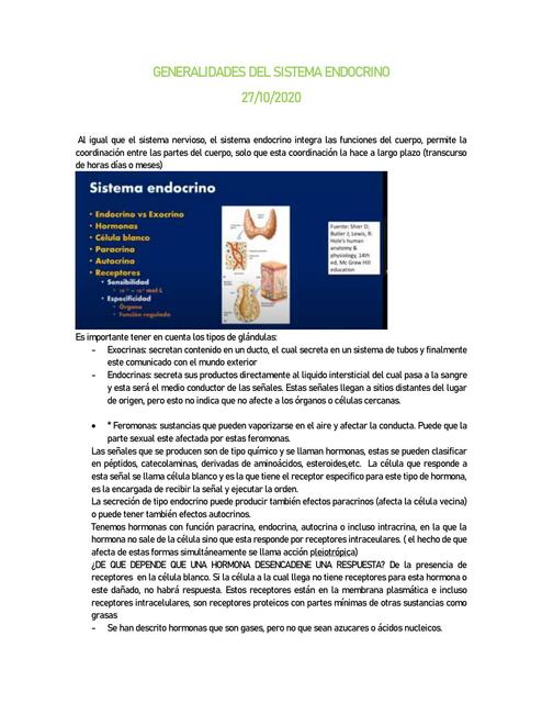 Generalidades del Sistema Endocrino