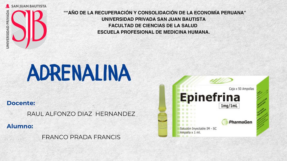 EPINEFRINA ADRENALINA | Francis | uDocz
