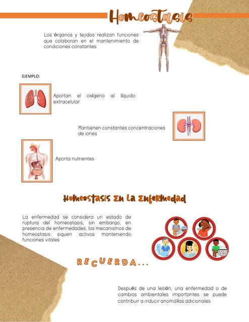 Homeostasis Fisiología 