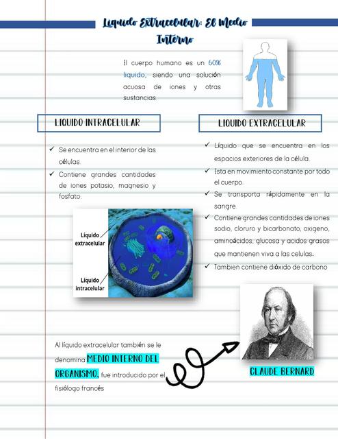 Liquido Extracelular