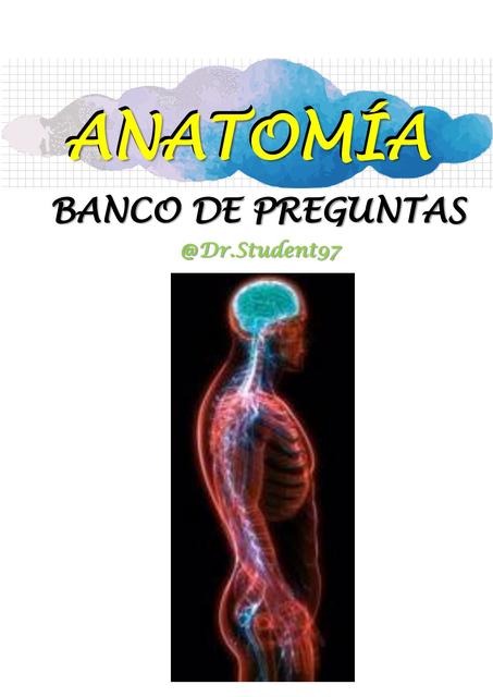 BANCO DE PREGUNTAS ANATOMIA - SISTEMA NERVIOSO (PRIMERA PARTE)