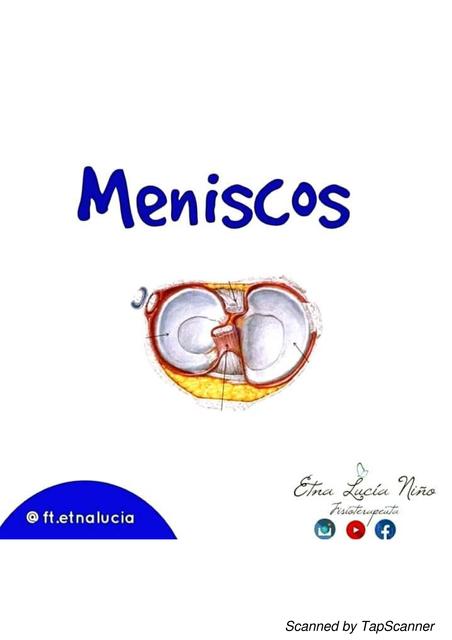 Meniscos 