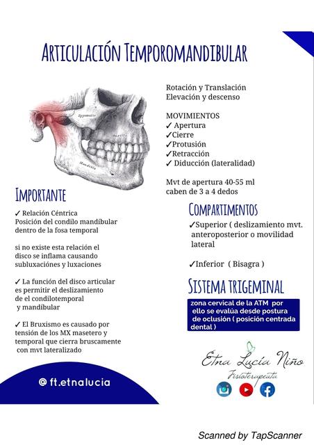 Articulación Temporo Mandibular