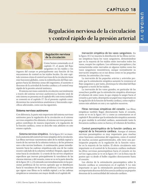 Regulación nerviosa de la circulación y control rápido de la presión ...