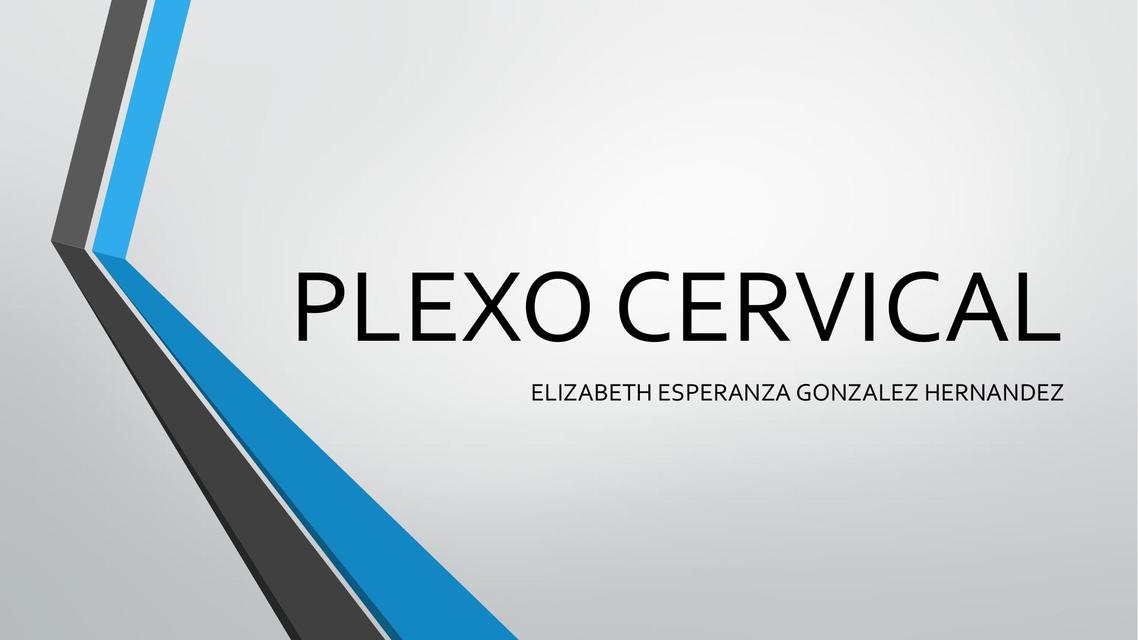 Plexo Cervical