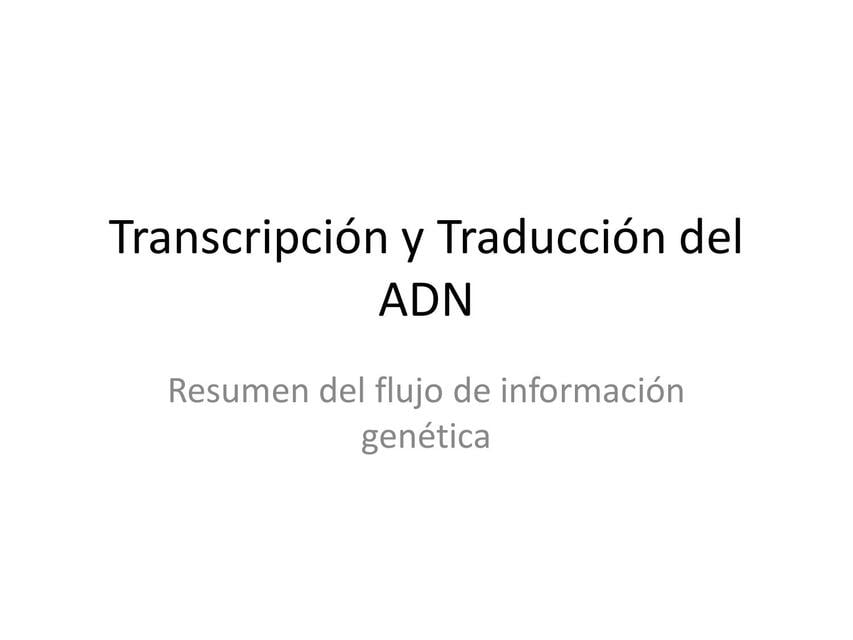 Transcripcion Traduccion ADN | samantha | uDocz