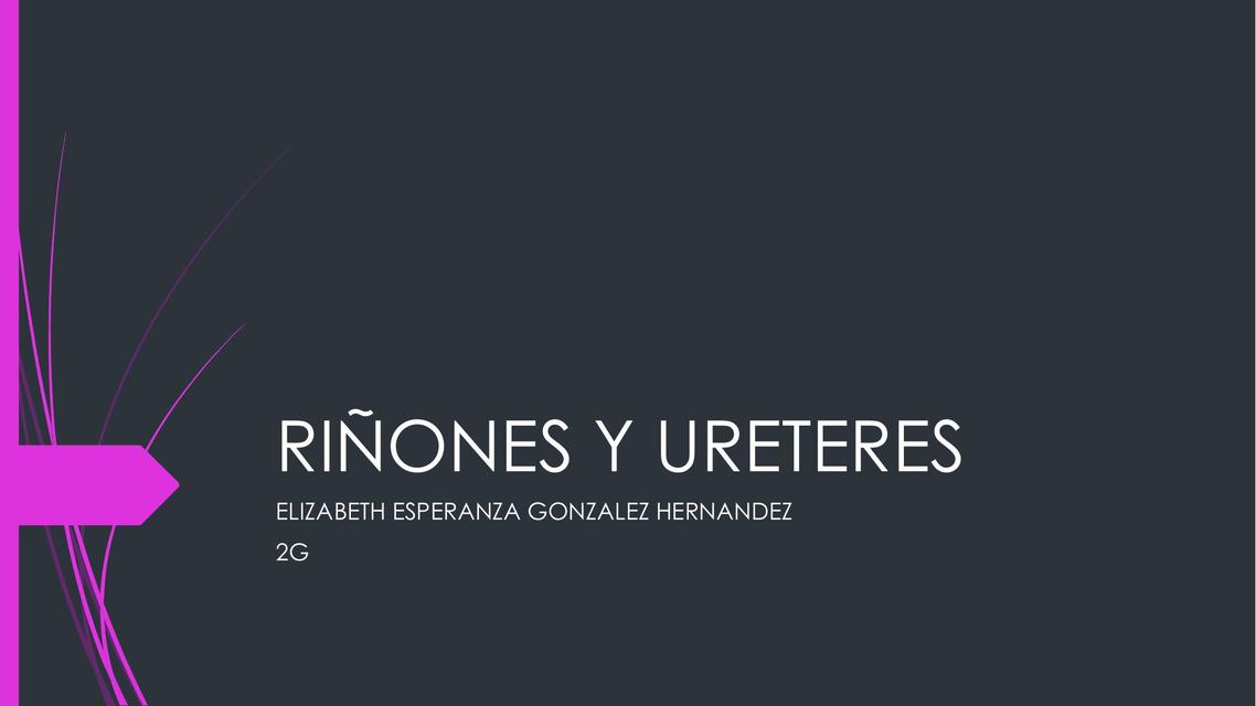 Riñones y Uréteres