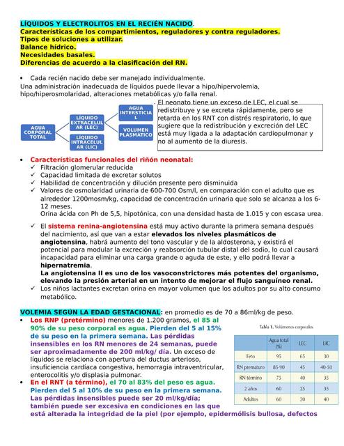Que Es La Electrolitos Resumen
