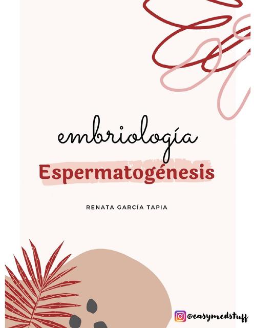 Espermatogenesis