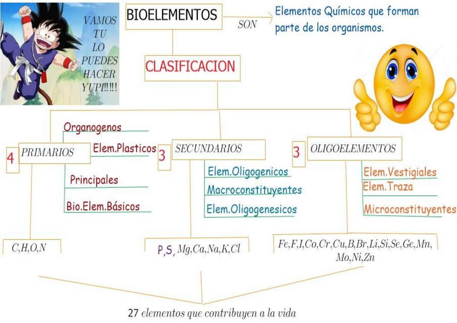 Biomoléculas