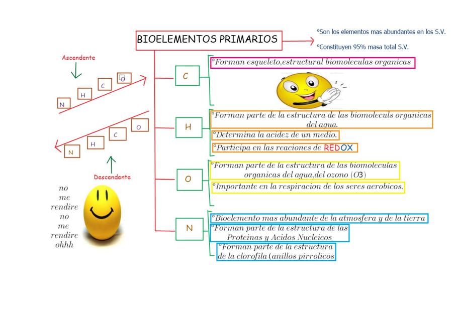 Bioelementos Primarios