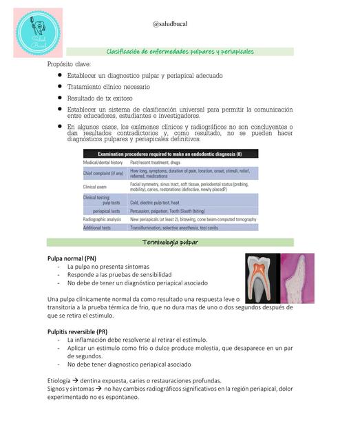 Diagnóstico en Endodoncia