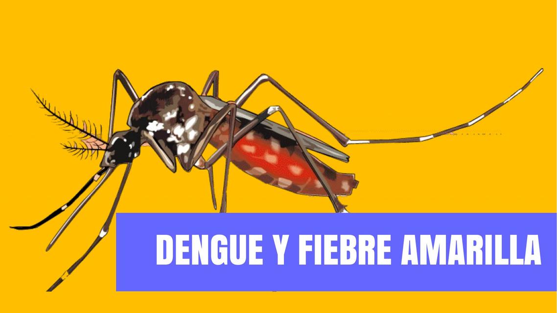 DENGUE Y FIEBRE AMARILLA