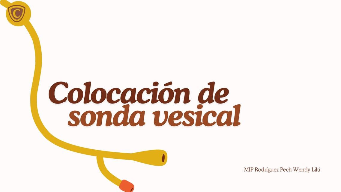 TECNICA DE COLOCACION DE SONDA VESICAL | Lilú Rodríguez | uDocz
