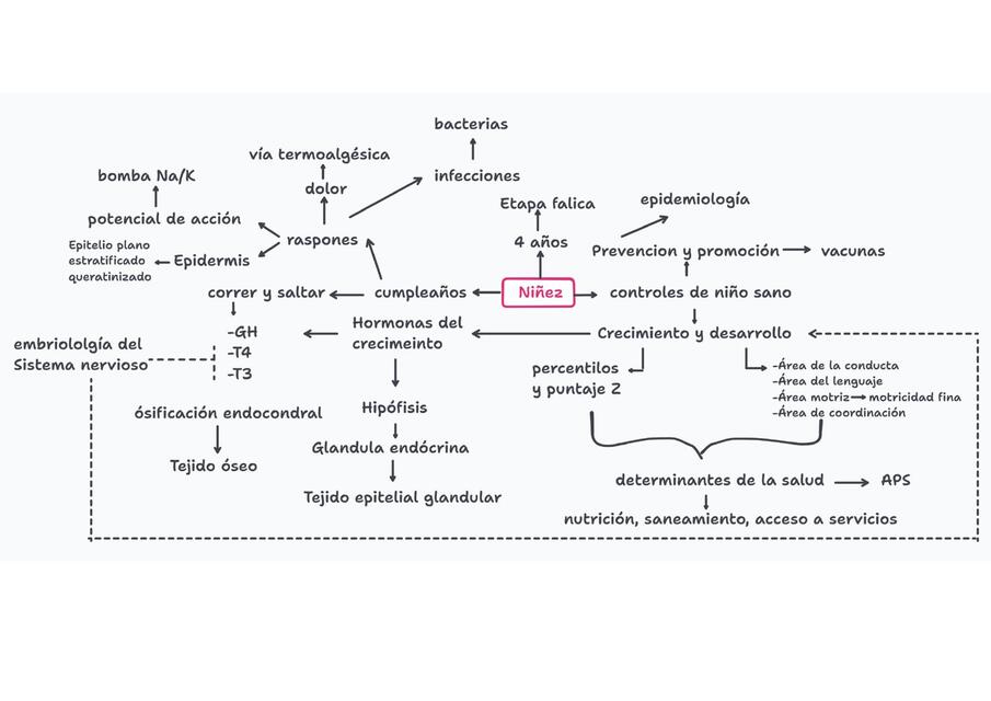Uabp 4 Cyd Emma Udocz