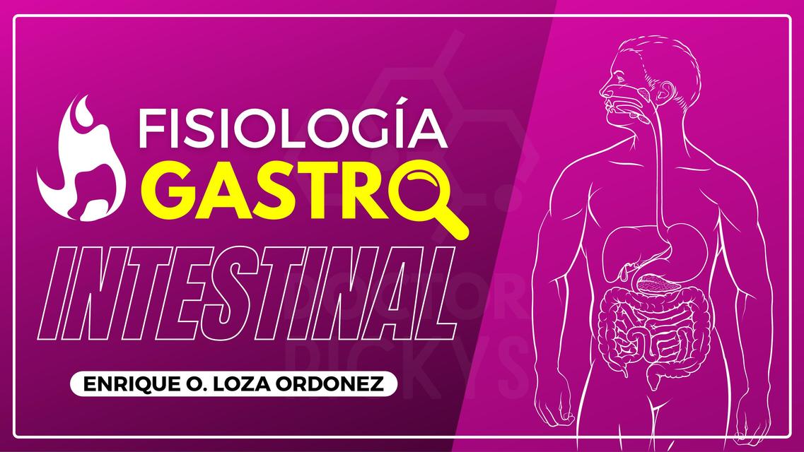 Fisiología Gastrointestinal