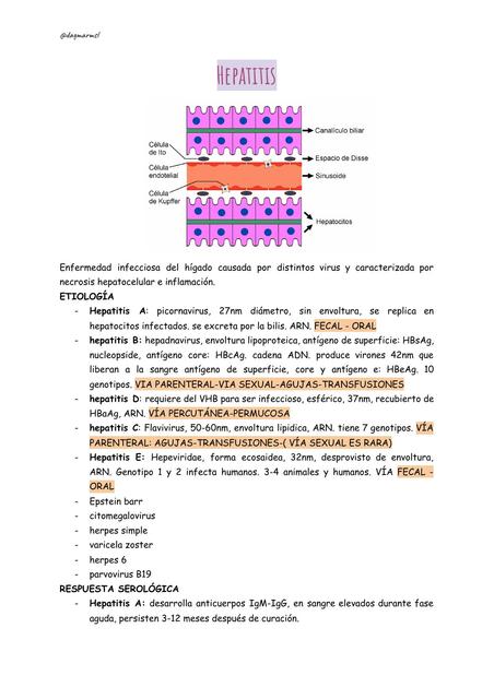 Hepatitis