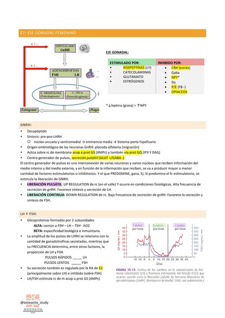 fisiología gonadal femenina