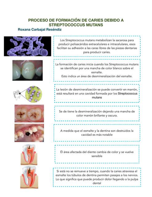 Formación de caries