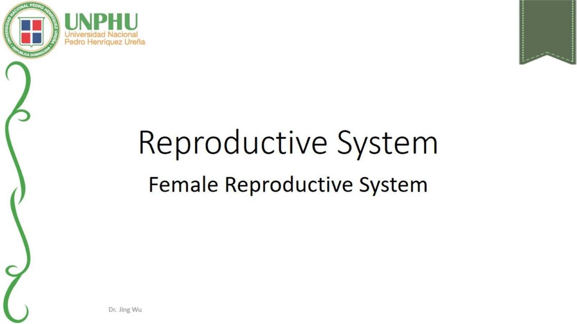 Female Reproductive System