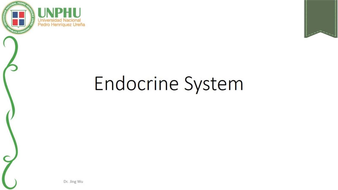 Endocrine System 