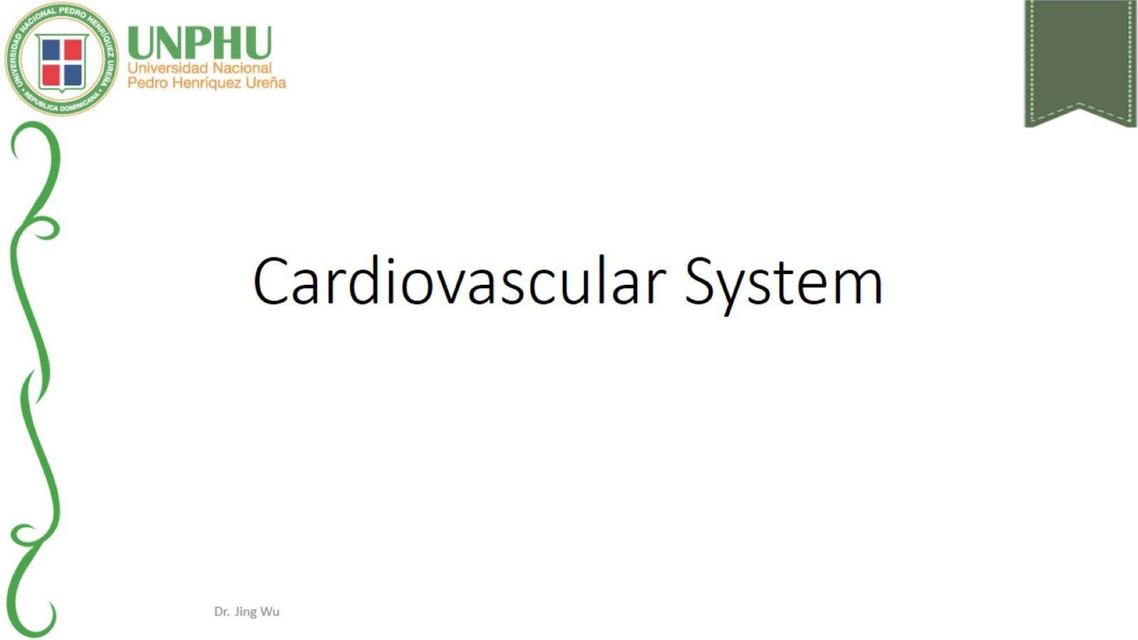 Cardiovascular system