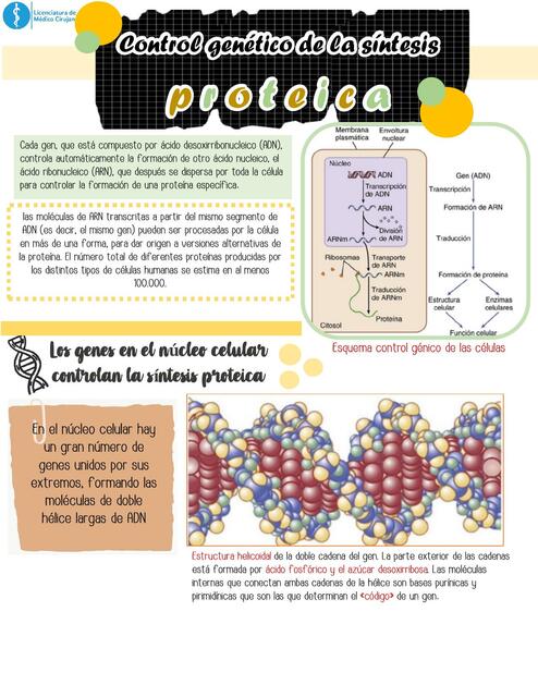 Control genético de la síntesis proteica funciones de la célula y la reproducción celular