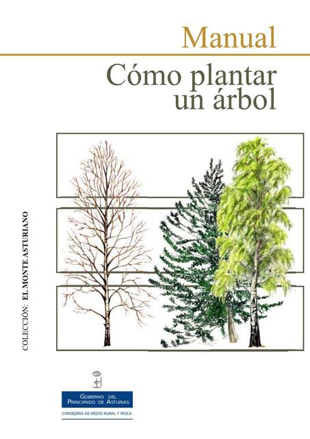 Manual como plantar un árbol