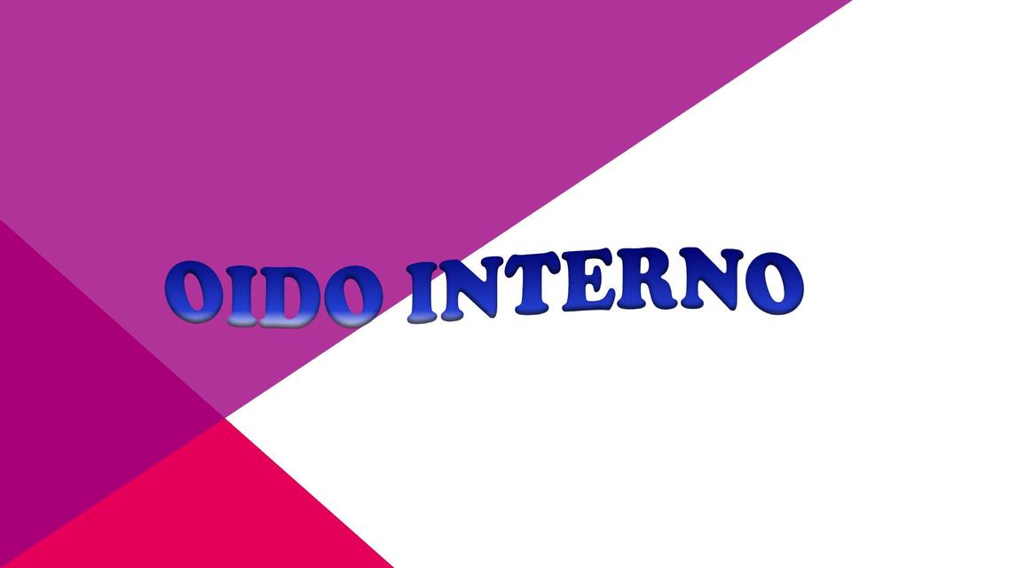 Oído interno