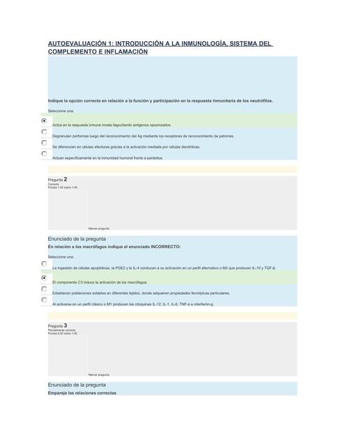 Autoevaluaciones 1 Stephanie Udocz