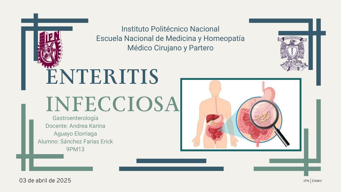 Flashcards de Enteritis infecciosa compressed | Por Sánchez Castillo ...