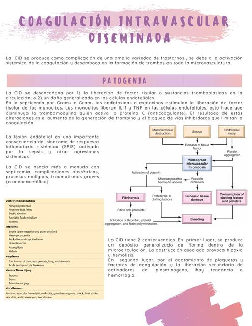 Coagulacion Intravascular Diseminada Resumenes De Medicina Enfermedades Udocz