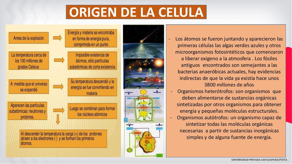 Seminario de microbiología